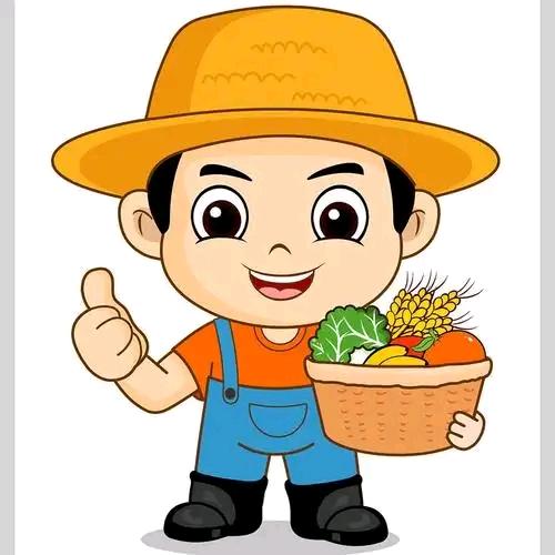 雷子悟农（汴塘向日葵农资）