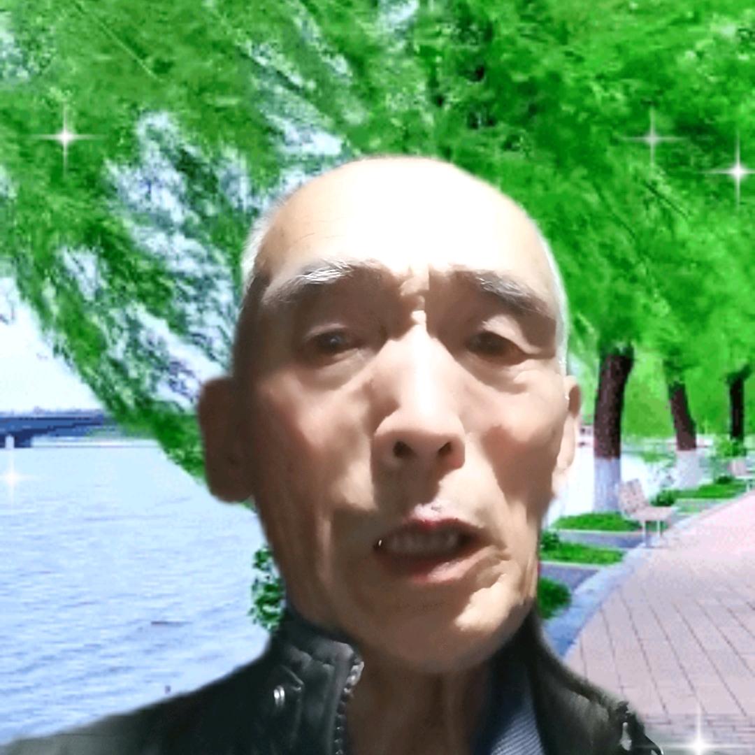 万年青