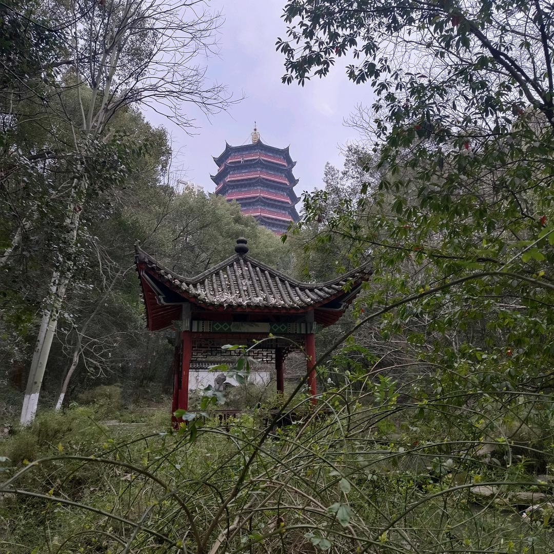 月色朦胧&
