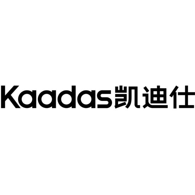 凯迪仕服务中心