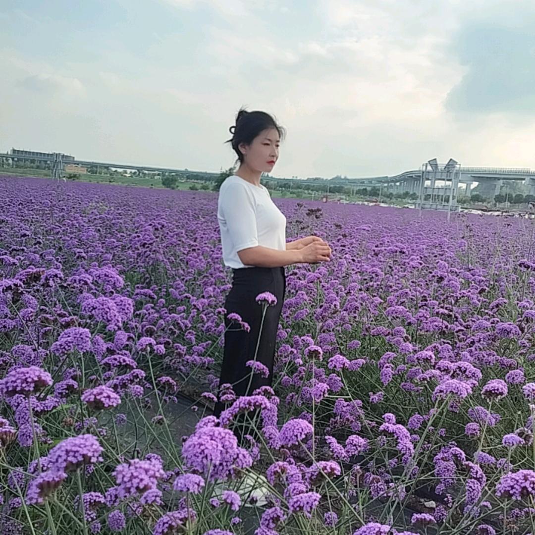别让梦枯萎