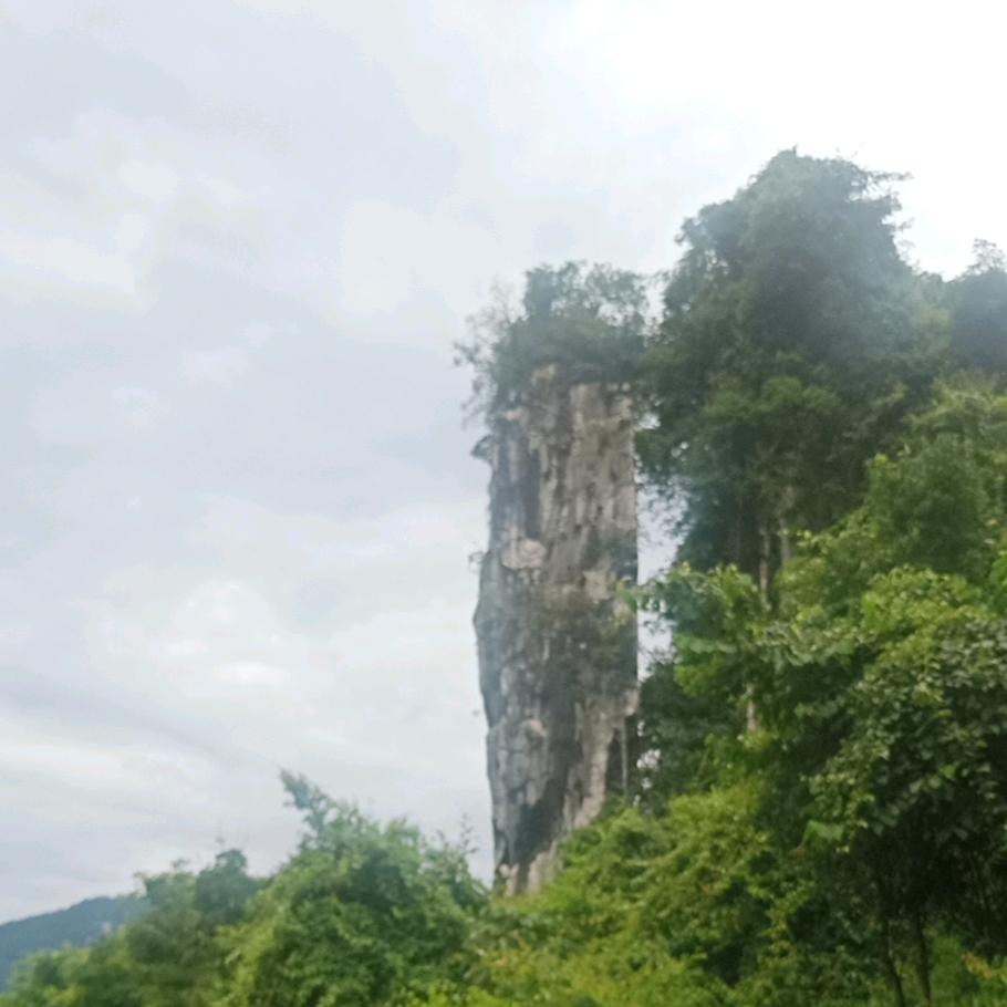 顺其*自然