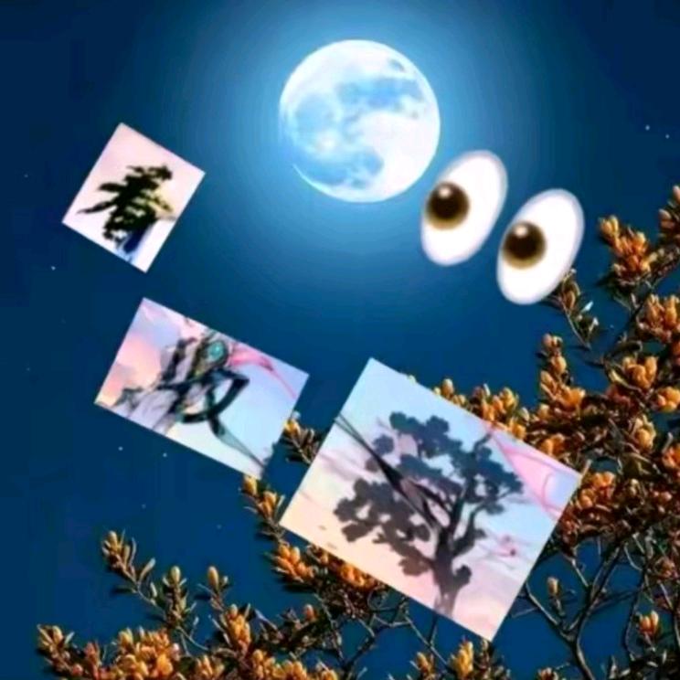 茜茜-🉑私