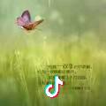 杰