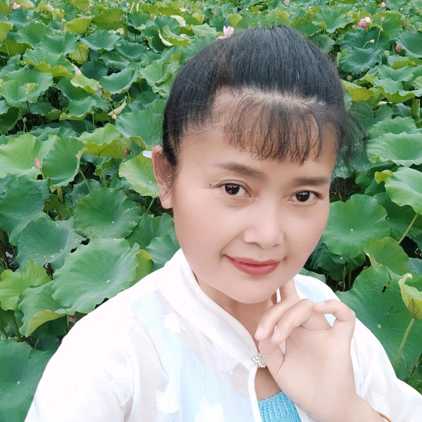 君 萍 聚（直播）