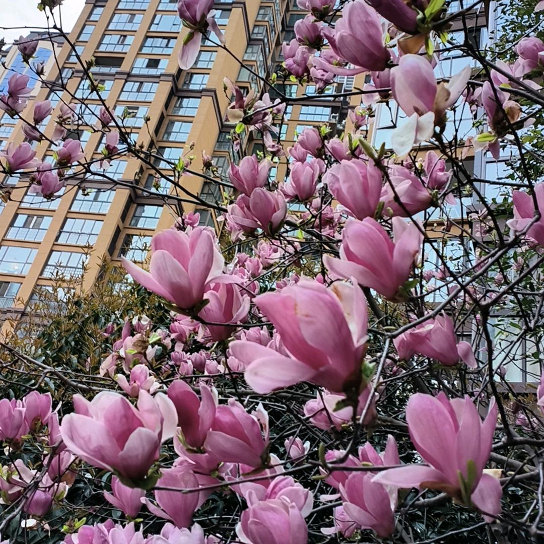 花好🌸月圆💖💘💖