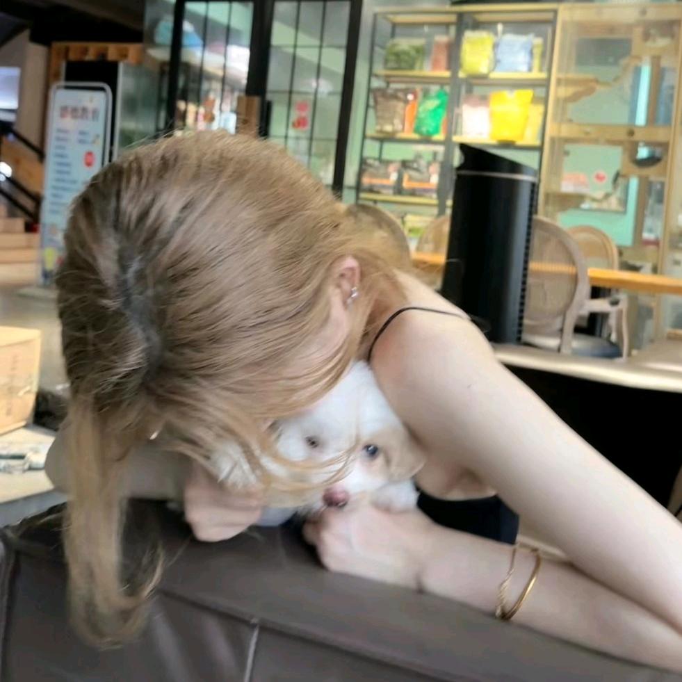 ✨