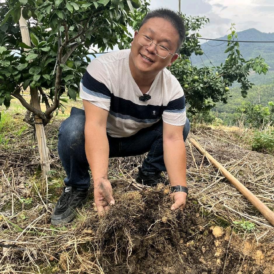 地头洞察官龚金才