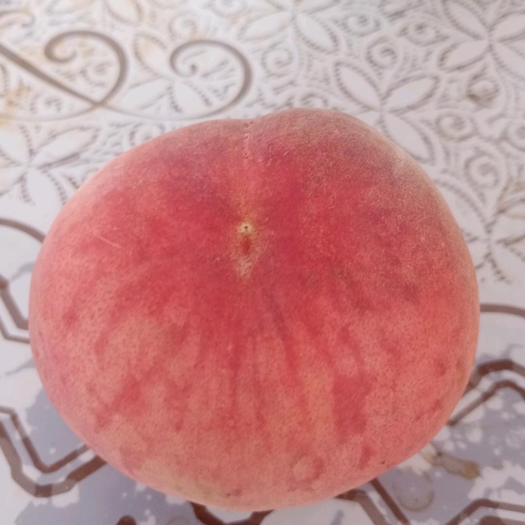 走遍天下无敌手