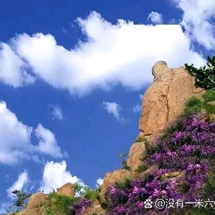 李灿头像