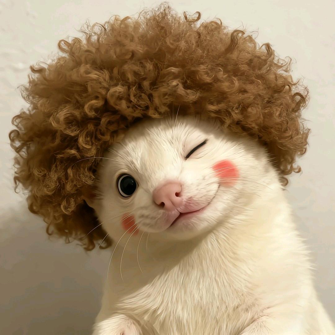 腋毛扎个蝴蝶结