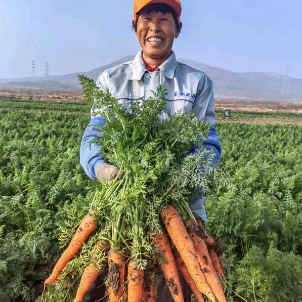 木木的农场