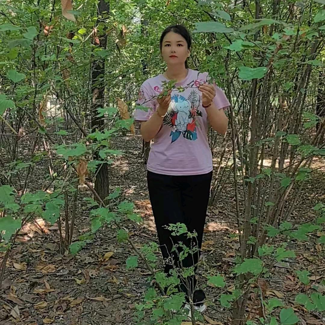 虢镇鼎尚购物中心小飞象胡丽平