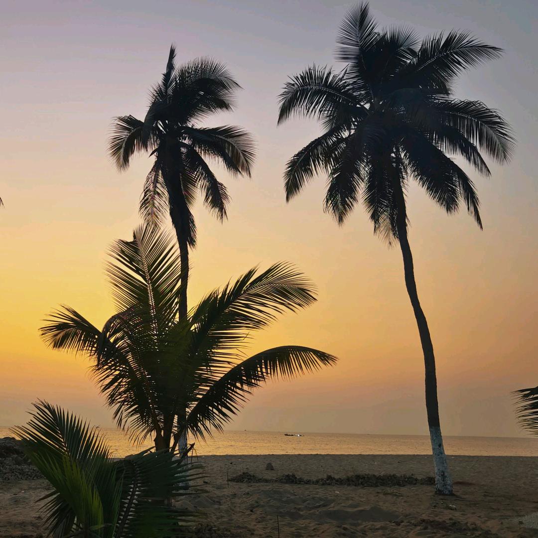 云端叙茶（在非洲）