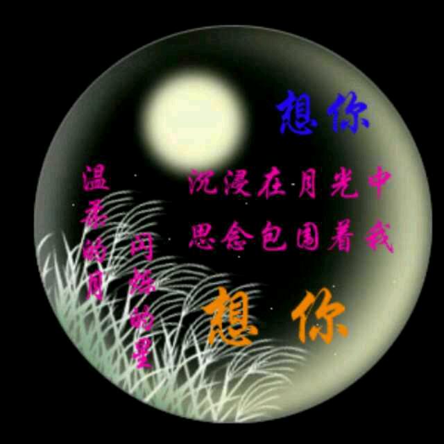 1987年的兔子。