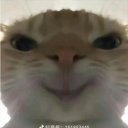 巴巴爸爸