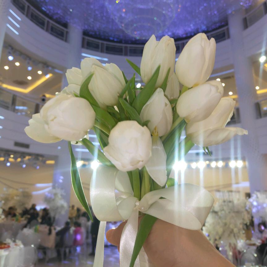 正在想名字中...