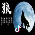 孤狼🐺666