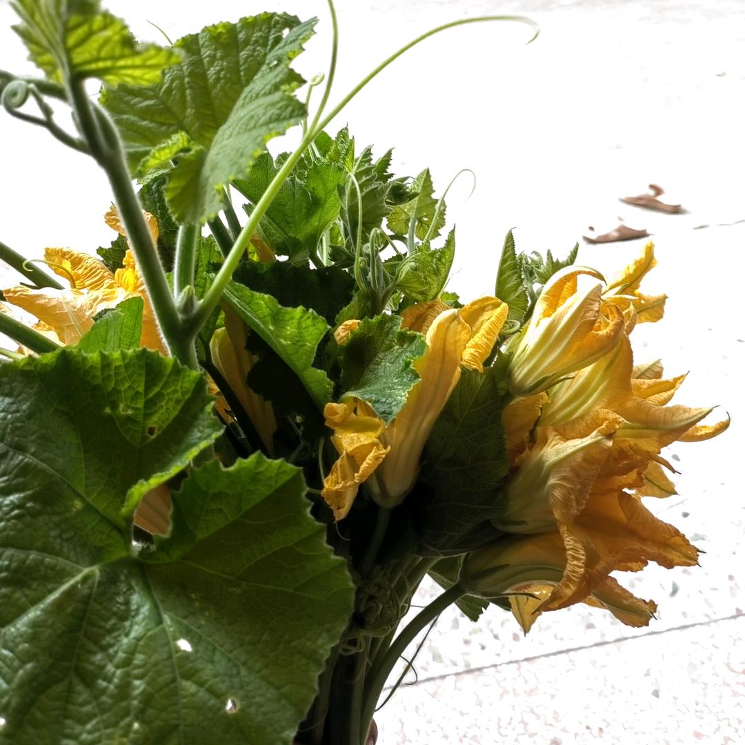 只管努力剩下的交给天意