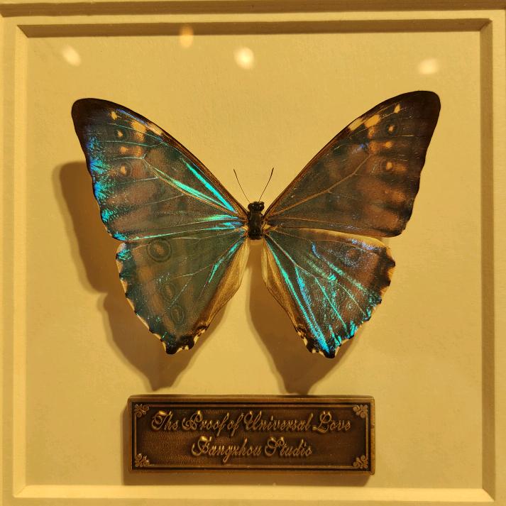 蝶🦋骨