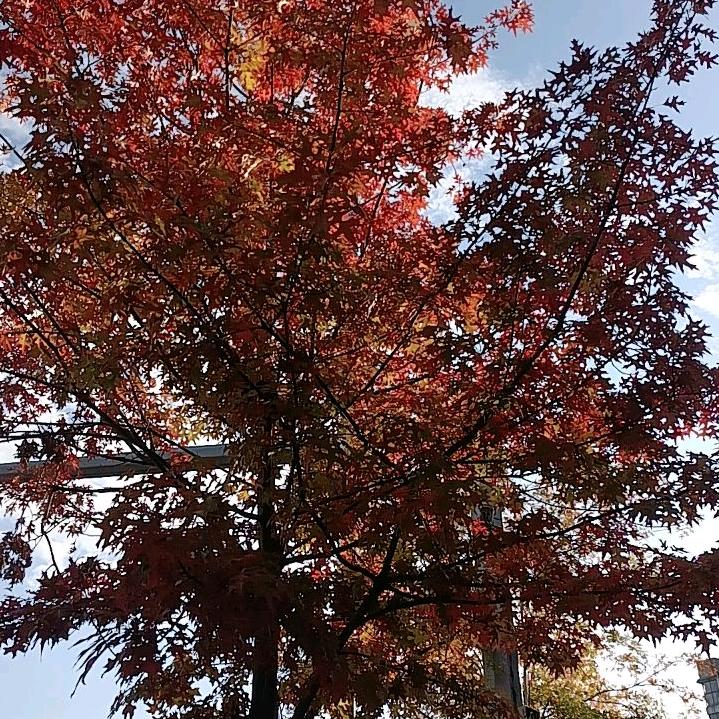 🌟ꦿᩚ恨是爱的倒计时🍶⃨ꪟ