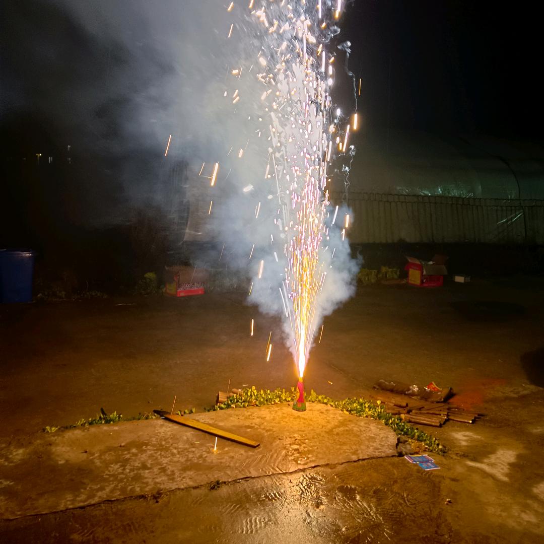 Q仔仔（涨粉中互关互助）