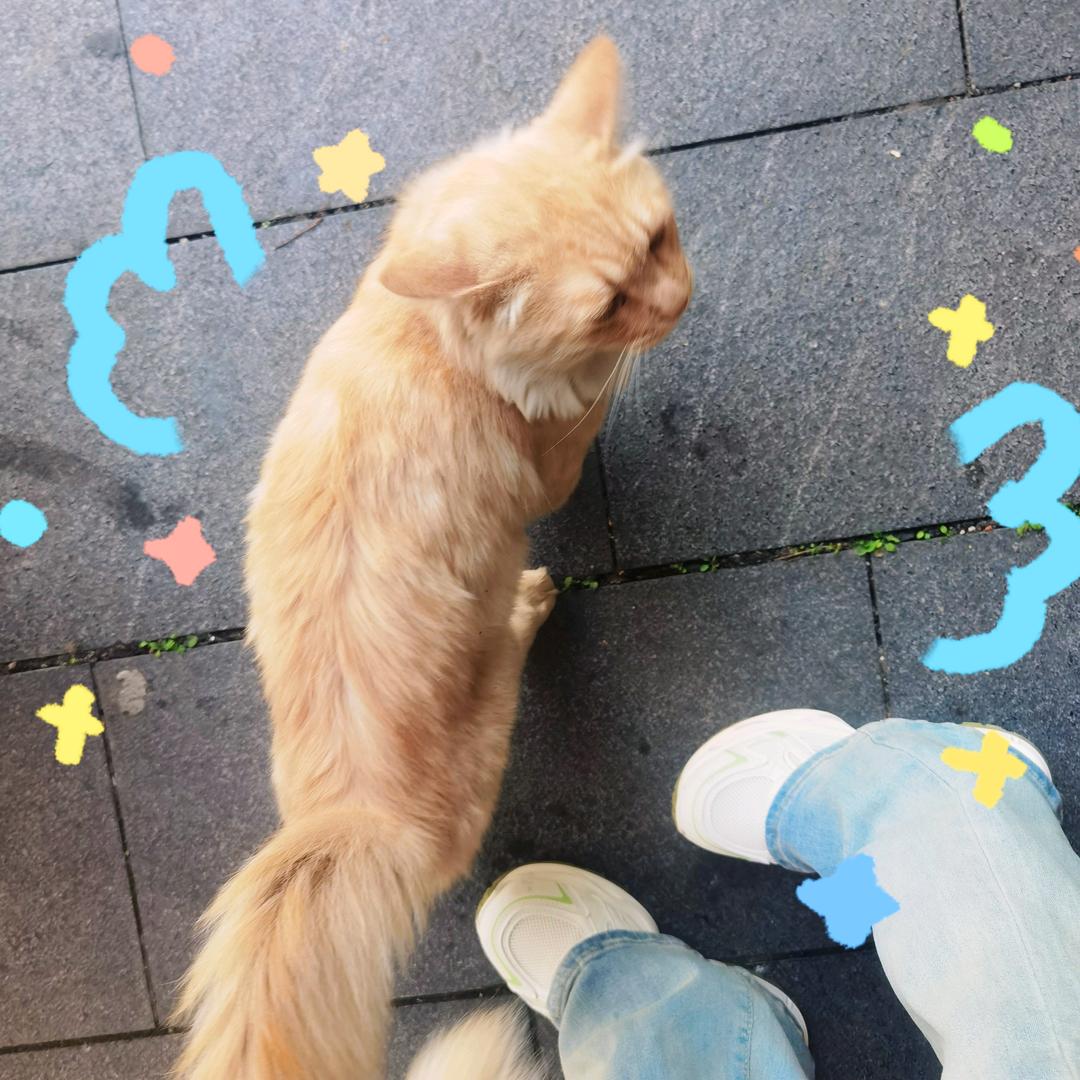 省钱小媛种草社