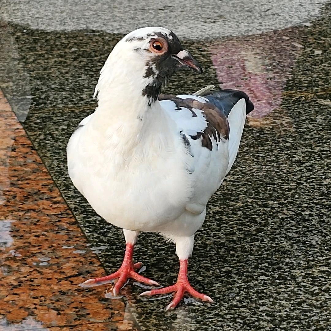 秋漫