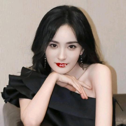 :y港口菊姐