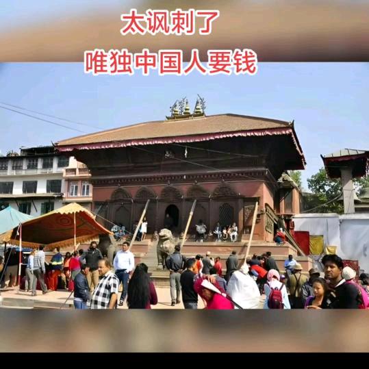 欣橙