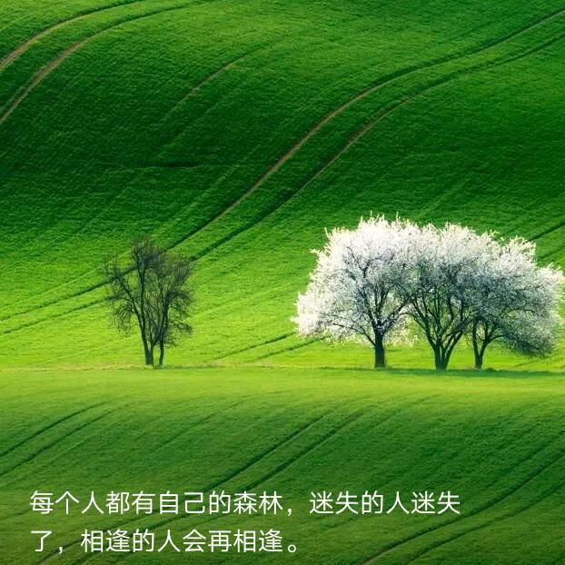 @天马行空