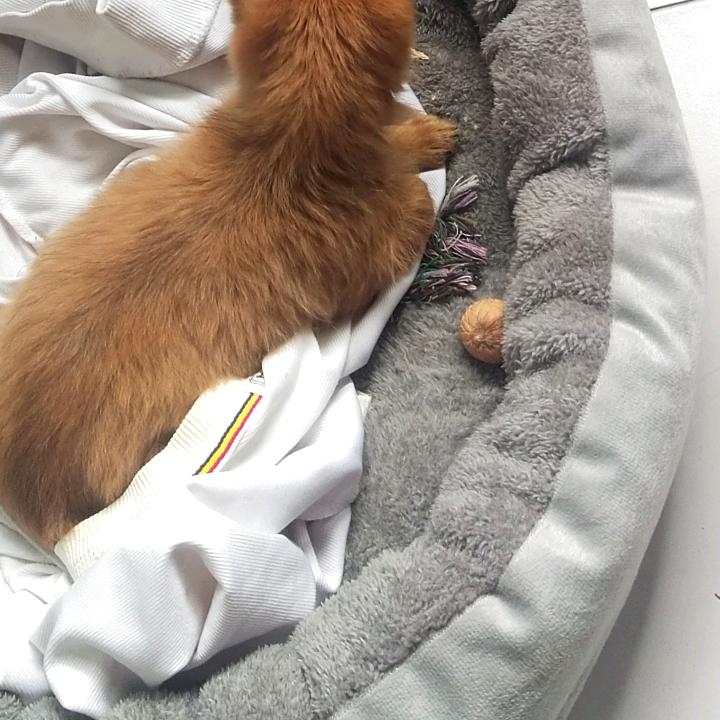 李磊