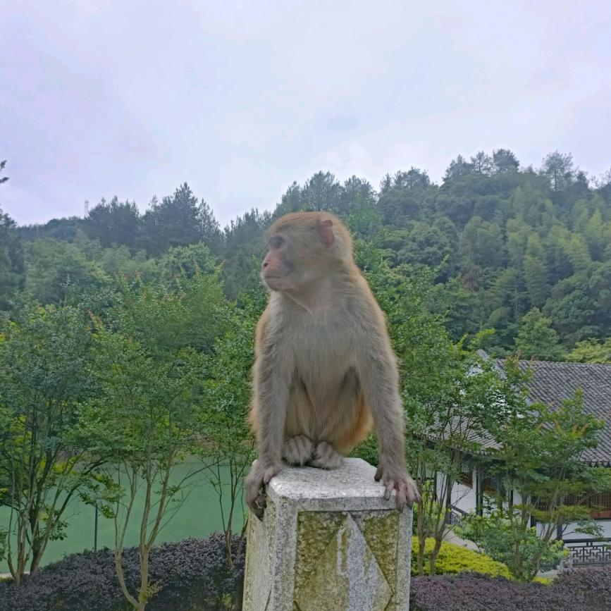 心红好茶好茶具分享