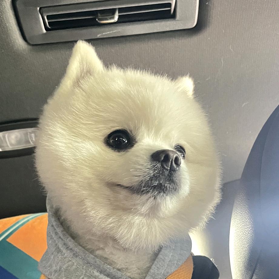 颖子