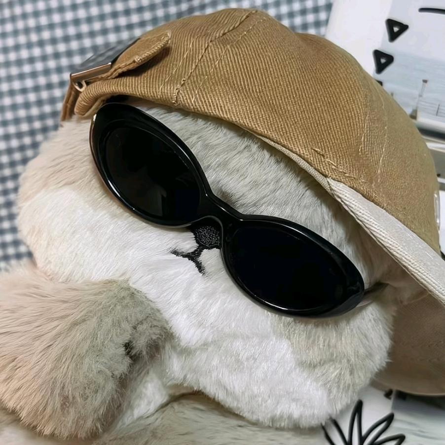 《骤》🇨🇳🇨🇳