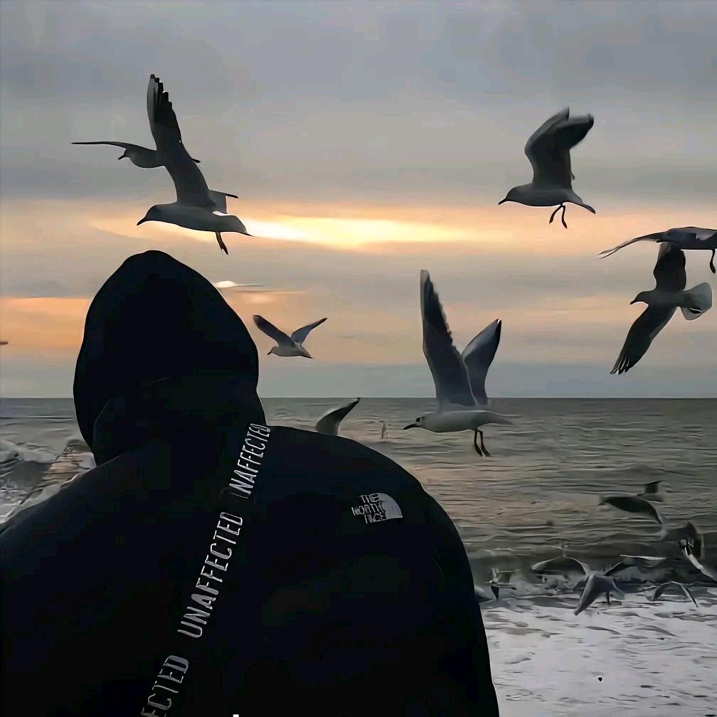 空气批发大王赵总