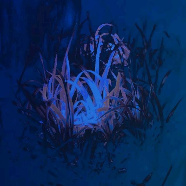 By Qin