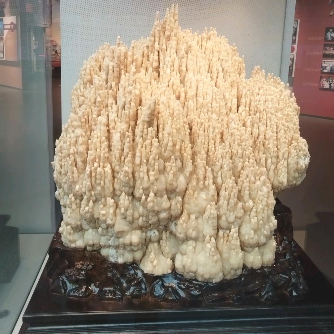 🐉 ঞ俊哥꧔ꦿ້໌ᮨ࿐