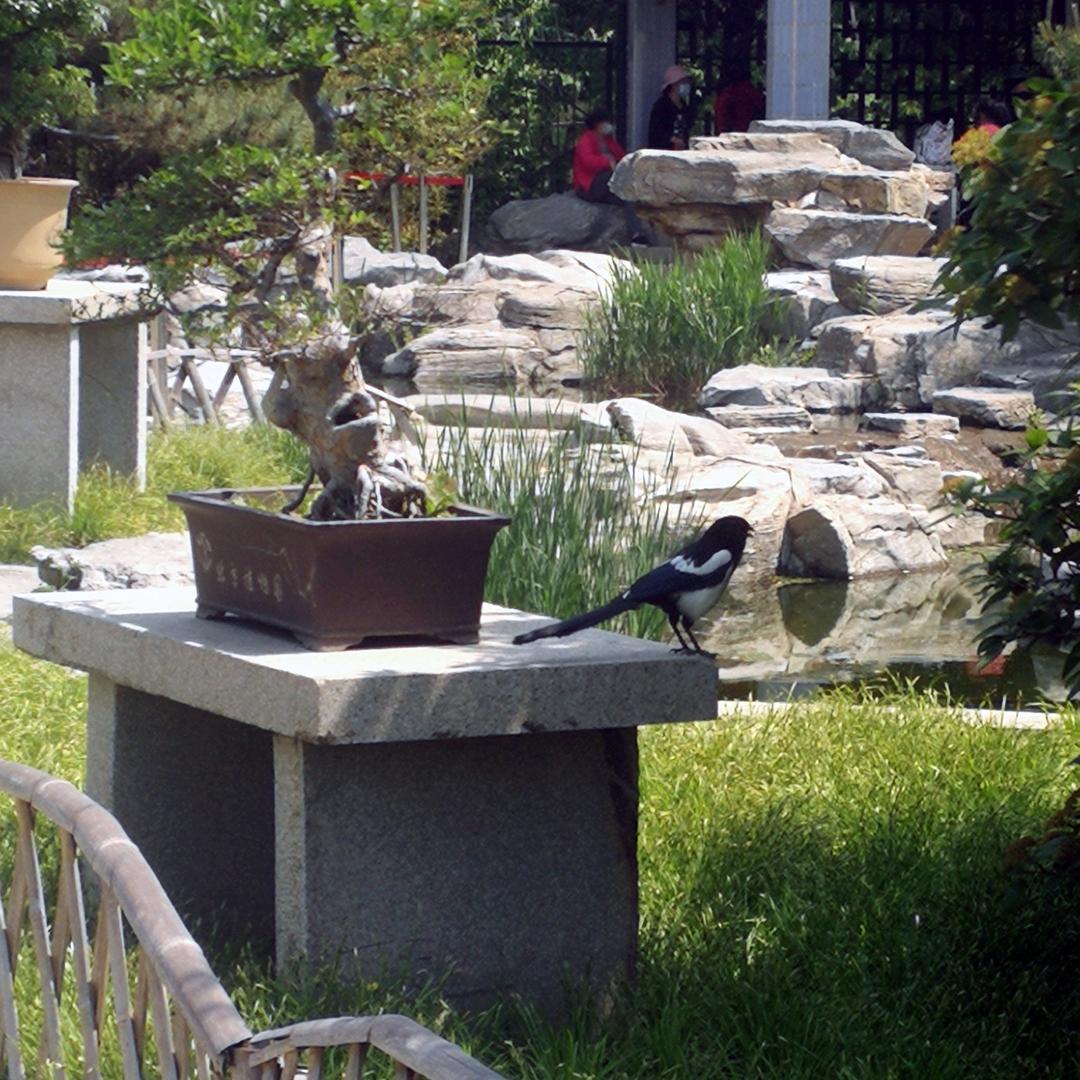 ༄༊࿆天使ღۣۖ微笑ོྂཾ࿆࿐