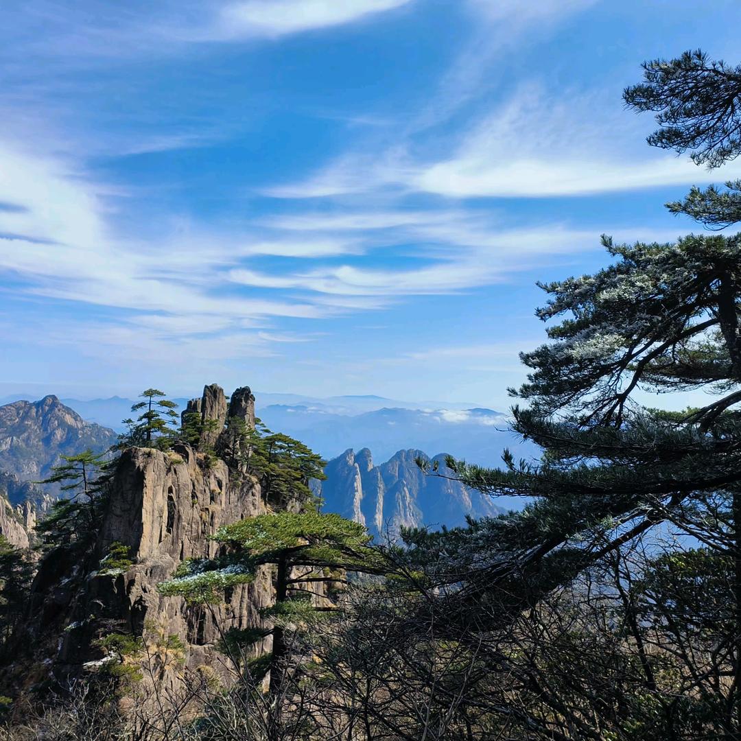 除了坚强我别无选择🧐