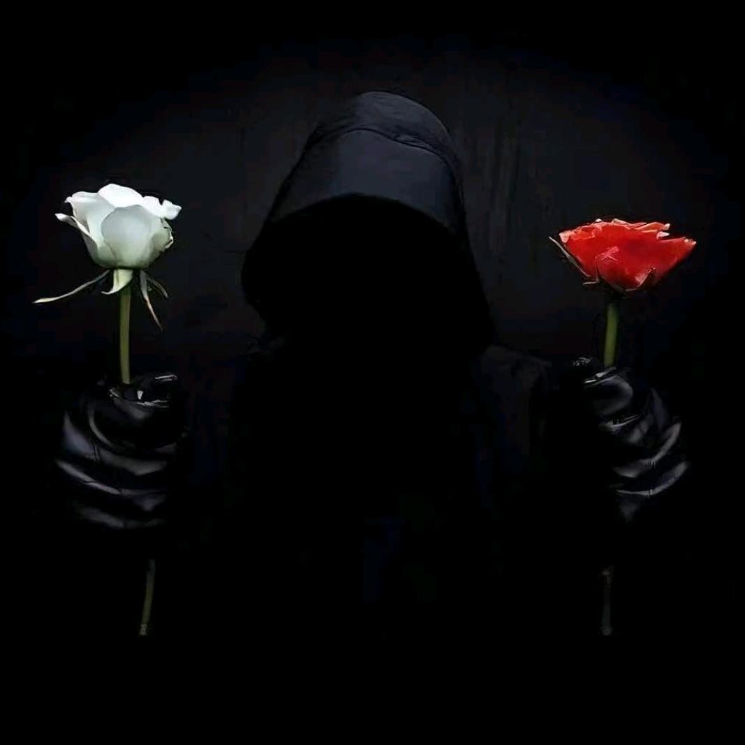 《不恨 不怨 不念 不恋》