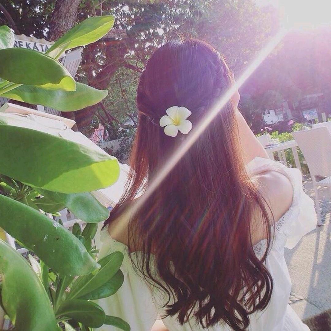 风信子（没裤衩）