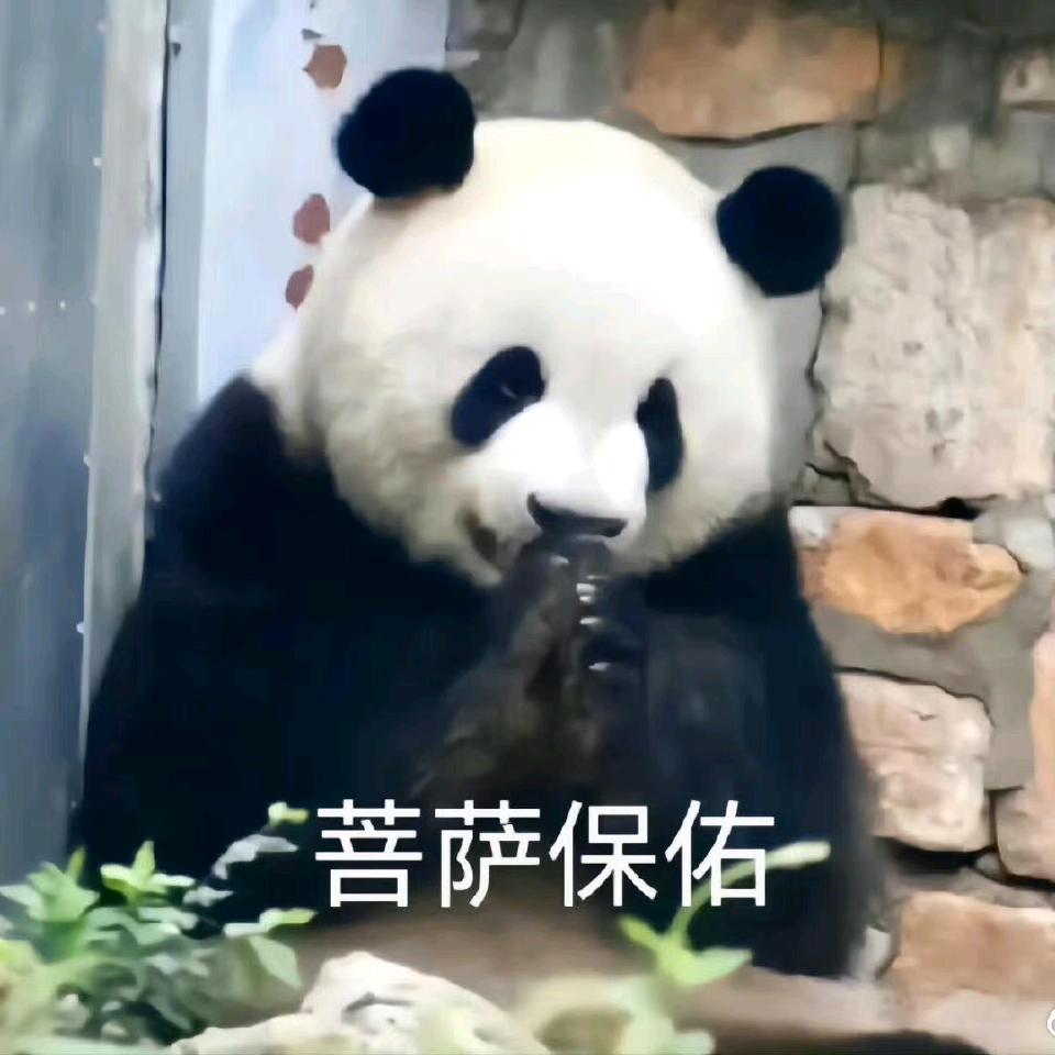 暴富吧