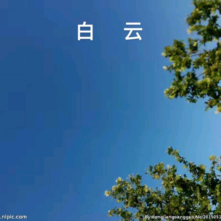 y 假玲