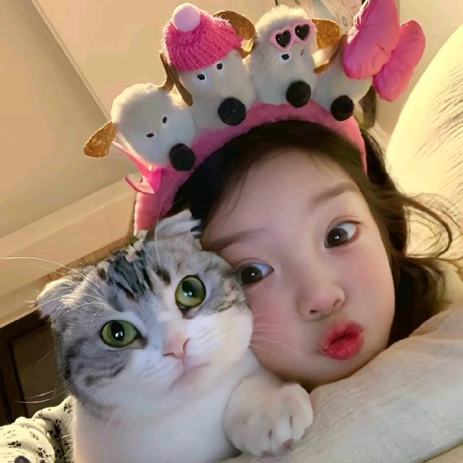 鱼香猫咪