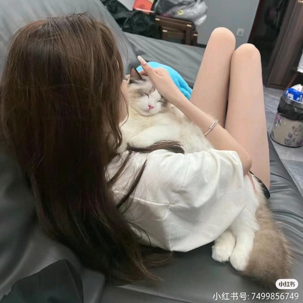 枣点水饺💤