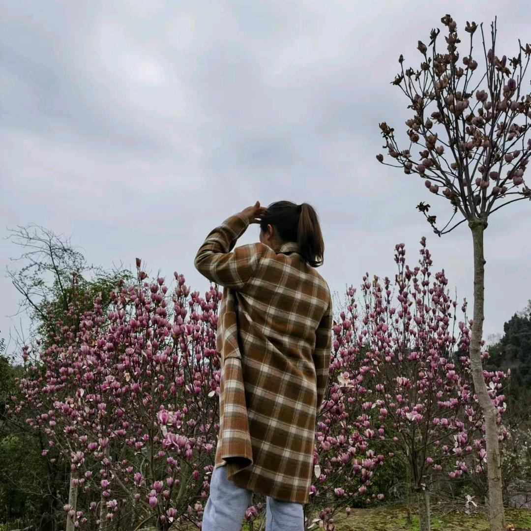 丹✨姐