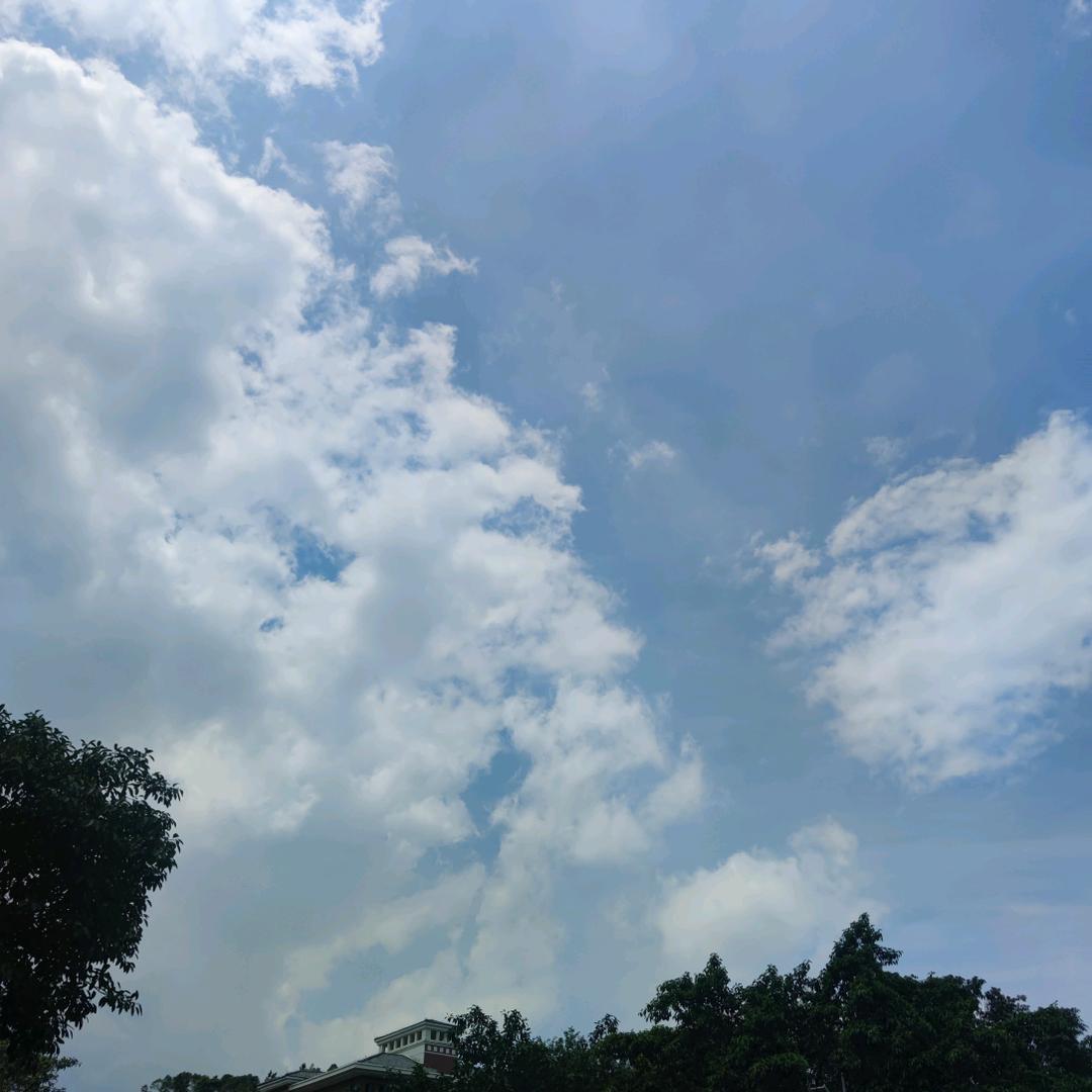小彬同学