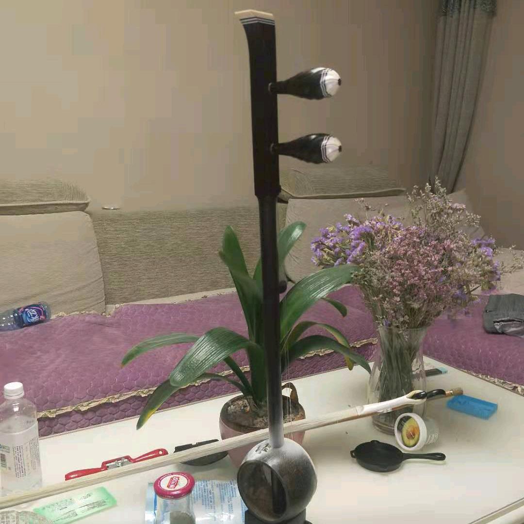 弦乐声声🎶🎶