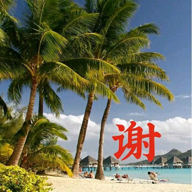红盖烧饼哥